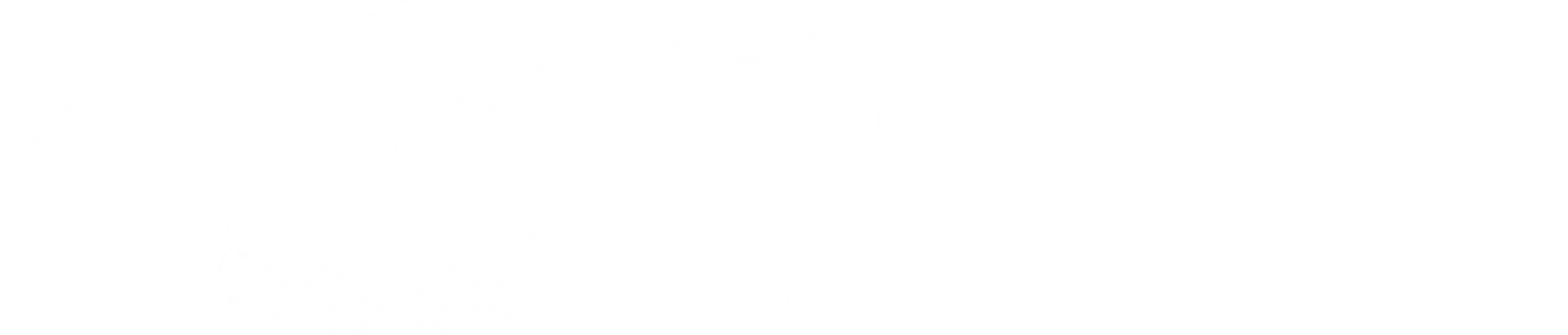 variedadesjuandi.com